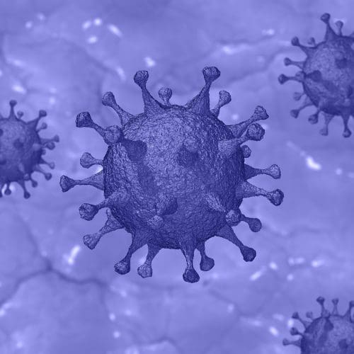 covid-19, virus, coronavirus-4922384.jpg